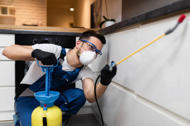 Pest Control for Restaurants in Scott City, MO