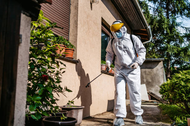 Reliable Scott City, MO Pest Control Solutions