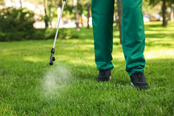 Best Best Pest Control Companies  in Scott City, MO