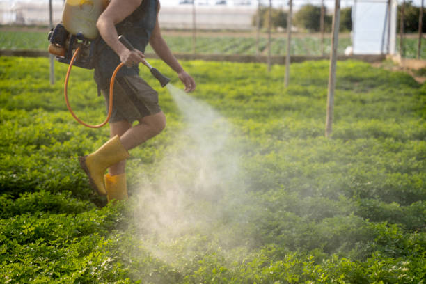 Best Pest Prevention Services  in Scott City, MO