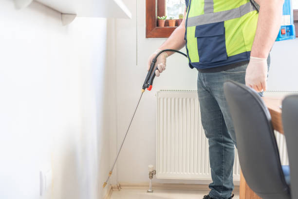 Best Local Pest Control Services  in Scott City, MO